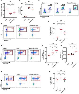 Porcine γδ T cells express cytotoxic cell-associated markers and display killing activity but are not selectively cytotoxic against PRRSV- or swIAV-infected macrophages